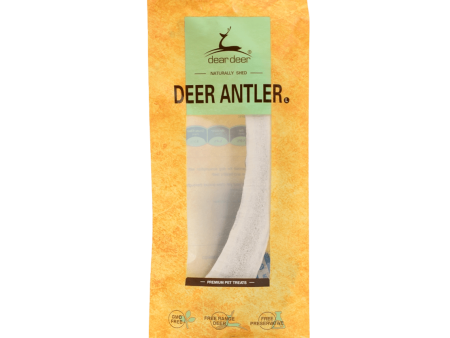 Deer Antler (Large) For Sale