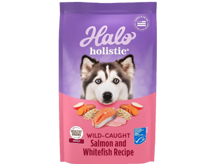 Holistic Healthy Grains Wild-Caught Salmon and Whitefish Recipe Dog Dry Food Sale