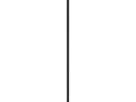 Baron 1-Light Floor Lamp Black Antique Brass Clear Glass Shade Discount