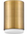 Cedric 1-Light Extra Small Flush Mount in Lacquered Brass For Discount