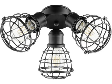 16 W 3-light LED Patio Ceiling Fan Light Kit Noir Online now